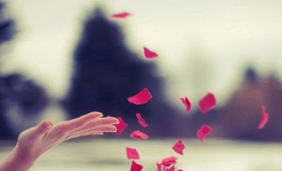 ·󼯺ϣμ·ƭ